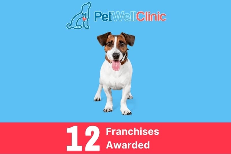 Franchise Basics How Much Money Can You Make Owning A Franchise?